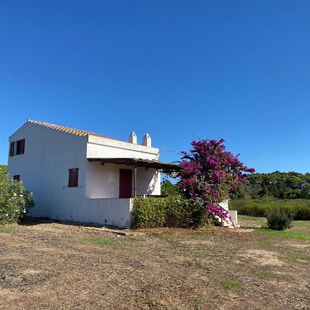 Casa Bianchi - Villa Immersa Nel Verde Carloforte  Εξωτερικό φωτογραφία