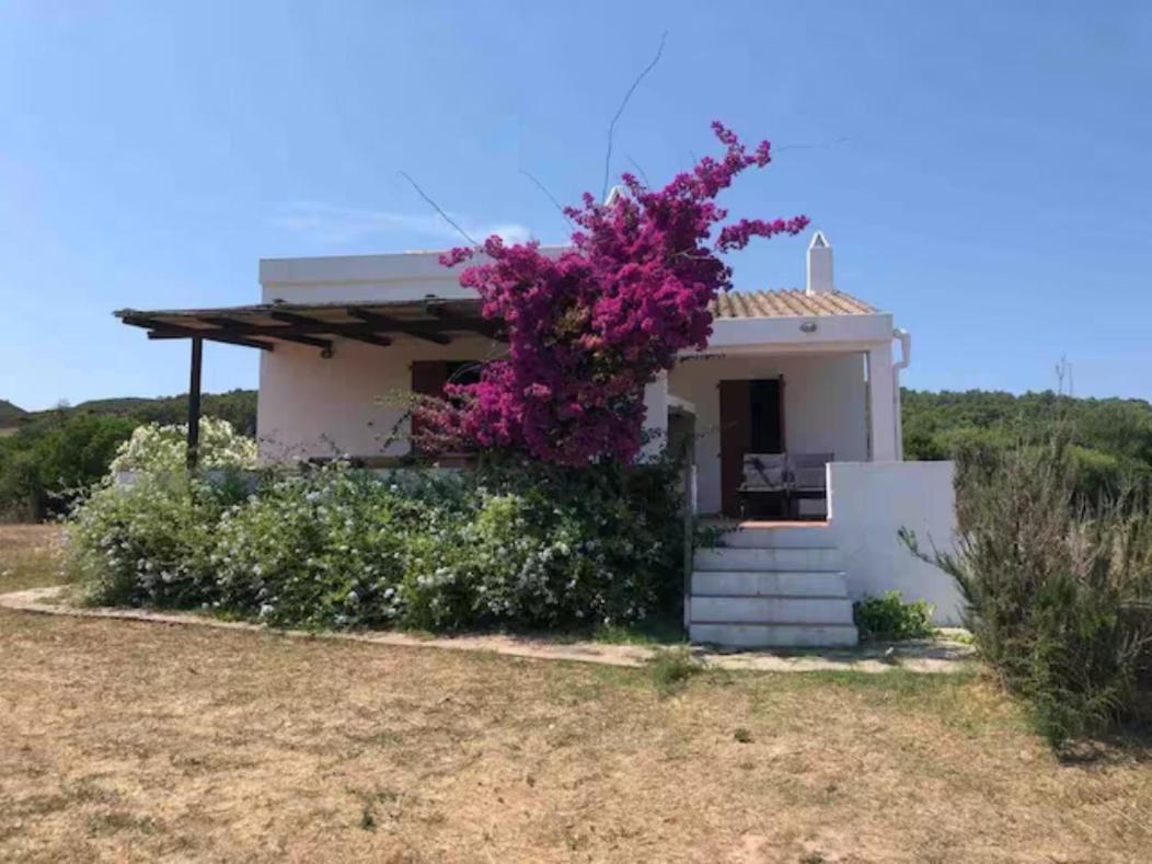 Casa Bianchi - Villa Immersa Nel Verde Carloforte  Εξωτερικό φωτογραφία