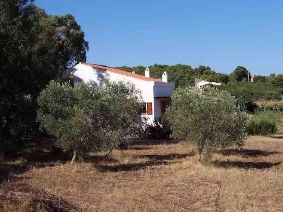 Casa Bianchi - Villa Immersa Nel Verde Carloforte  Εξωτερικό φωτογραφία