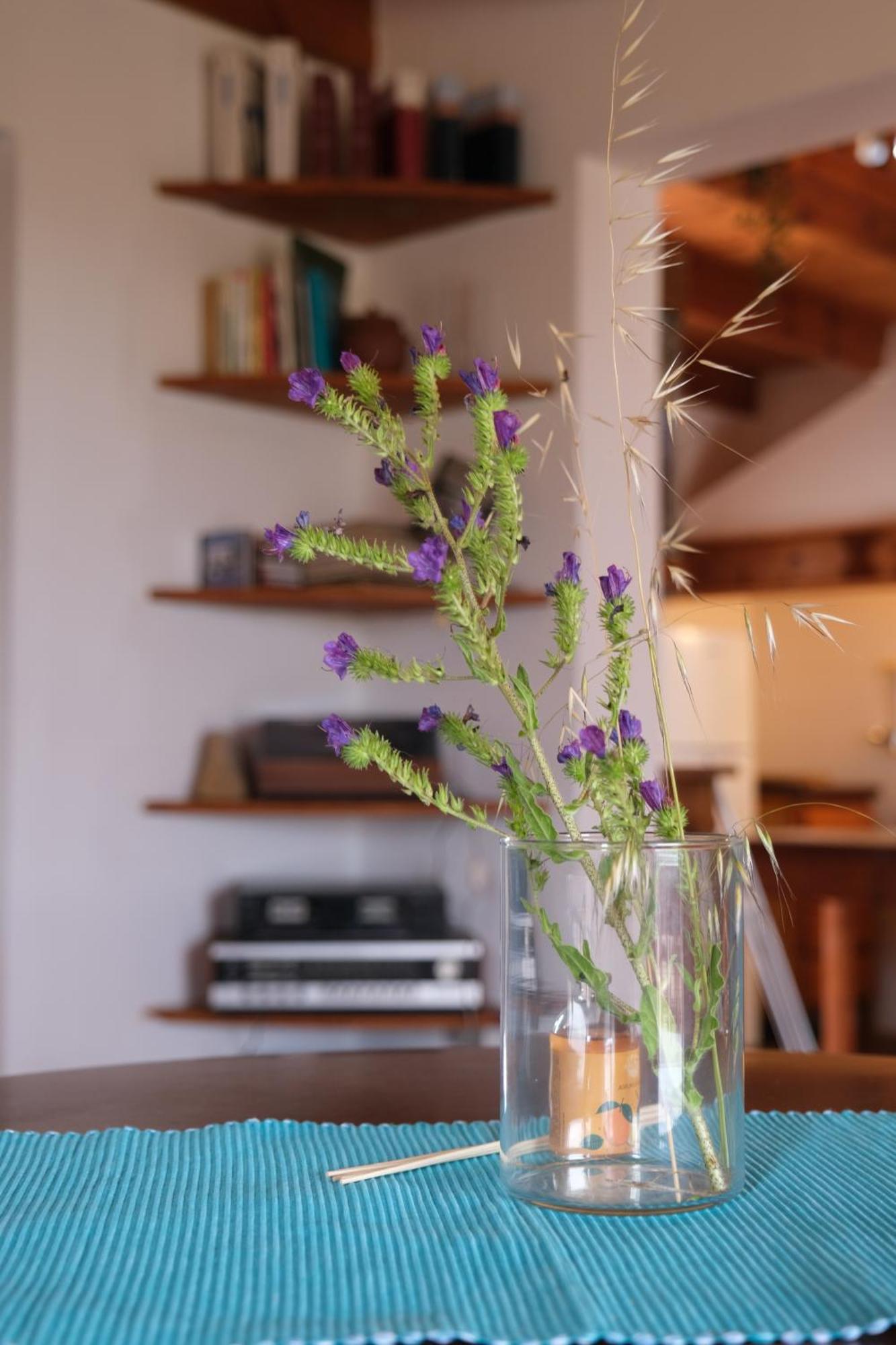 Casa Bianchi - Villa Immersa Nel Verde Carloforte  Εξωτερικό φωτογραφία