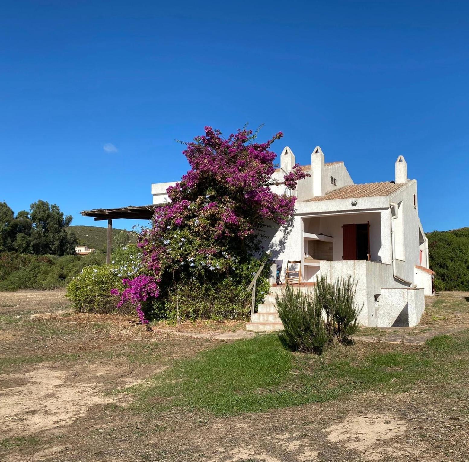 Casa Bianchi - Villa Immersa Nel Verde Carloforte  Εξωτερικό φωτογραφία